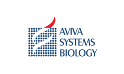 IL-17A Antibody (OADB00329)