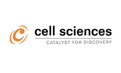 Native Human Alpha-1-Antichymotrypsin