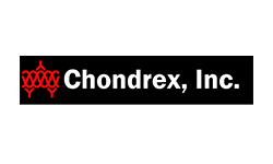 Human Vascular Endothelial Growth Factor (VEGF) Detection Assay Kit