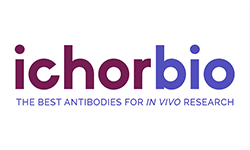 Anti-Mouse CTLA-4 In Vivo Antibody - Ultra Low Endotoxin (9H10)