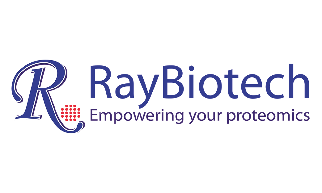Mouse Cytokine Array C5
