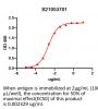 Anti-Human CD40(Lucatumumab)