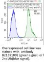 Anti-Human GUCY2C(Indusatumab)