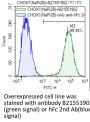 Anti-Human SLC34A2(Upifitamab)