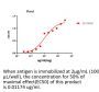 Anti-Human CD19(Tafasitamab )