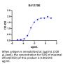 Anti-Human EGFR(Necitumumab)