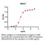 Anti-Human CTLA4(Ipilimumab)