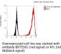 Anti-Human IGF1R(Teprotumumab)