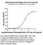Biotinylated Cynomolgus ACE2/ACEH Protein (ACE-CM401B)