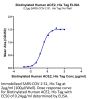 Biotinylated Human ACE2/ACEH Protein (ACE-HM401B)
