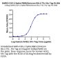 SARS-CoV-2 Spike RBD (Omicron BA.2.75) Protein (BA2-HM175)