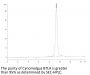 Cynomolgus BTLA Protein (BTL-CM101)