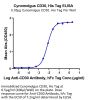 Cynomolgus CD30/TNFRSF8 Protein (CD3-CM130)