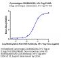 Cynomolgus CD3E&CD3G/CD3 epsilon&CD3 gamma Protein (CD3-CM202)