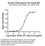 Human CD30 Ligand/TNFSF8 Protein (CD3-HM10L)