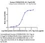 Human CD3E&CD3D/CD3 epsilon&CD3 delta Protein (CD3-HM205)