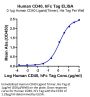 Human CD40/TNFRSF5 Protein (CD4-HM240)