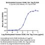 Biotinylated Human CD40/TNFRSF5 Protein (CD4-HM440B)