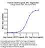 Human CD27 Ligand/CD70 Protein (CD7-HM270)