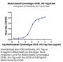 Biotinylated Cynomolgus CD3E/CD3 epsilon Protein (Primary Amine Labeling)  (CDE-CM101B)
