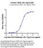 Human CD3E/CD3 epsilon Protein (CDE-HM101)
