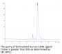 Biotinylated Human CD40 Ligand/TNFSF5 Trimer Protein (Primary Amine Labeling)  (CDL-HM140B)