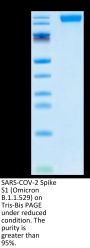 SARS-COV-2 Spike S1 (Omicron B.1.1.529) Protein (COV-VM1SO)