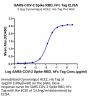 SARS-COV-2 Spike RBD Protein (COV-VM2BD)