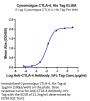 Cynomolgus CTLA-4/CD152 Protein (CTL-CM141)