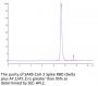 SARS-CoV-2 Spike RBD (Delta plus AY.1/AY.2) Protein (DP1-VM1BD)