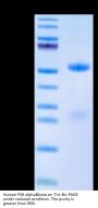 Human FSH alpha&beta Protein (FSH-HM1AB)