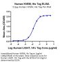 Human HVEM/TNFRSF14 Protein (HVE-HM111)