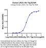 Human LAG3/CD223 Protein (LAG-HM131)