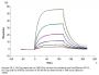 Human PD-1/PDCD1 Protein (PD1-HM101)