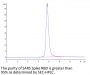 SARS Spike RBD Protein (SAR-VM4BD)