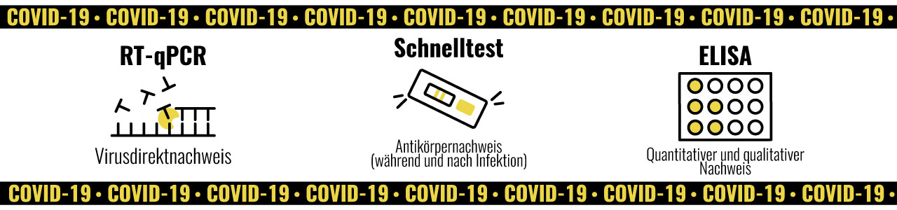 COVID-19 diagnostische Produkte