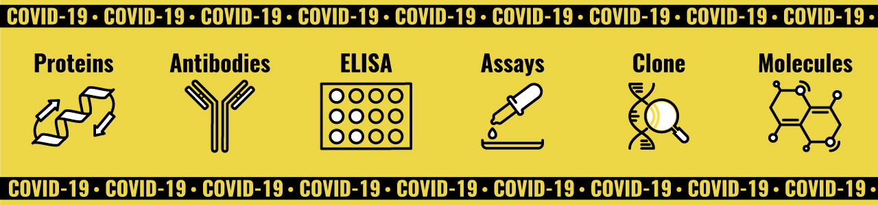 COVID-19 Products